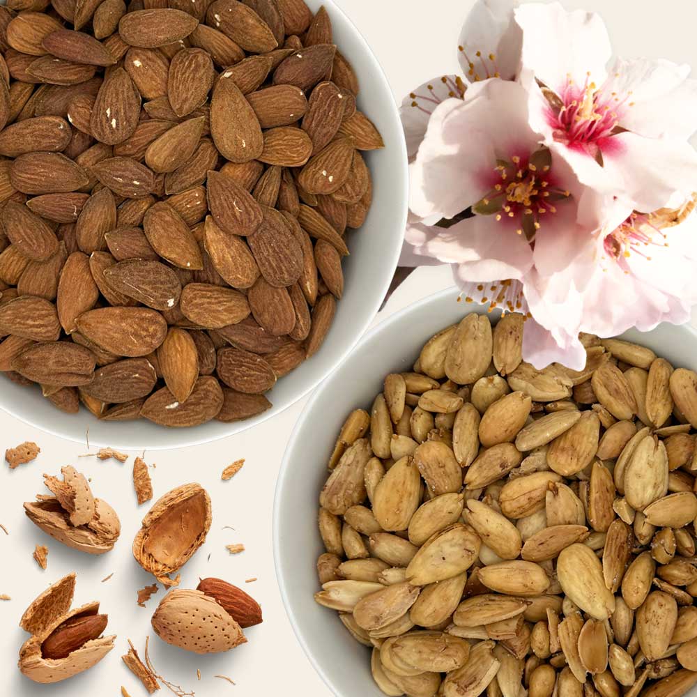 Dos cuencos de almendras junto a una flor de almendro.